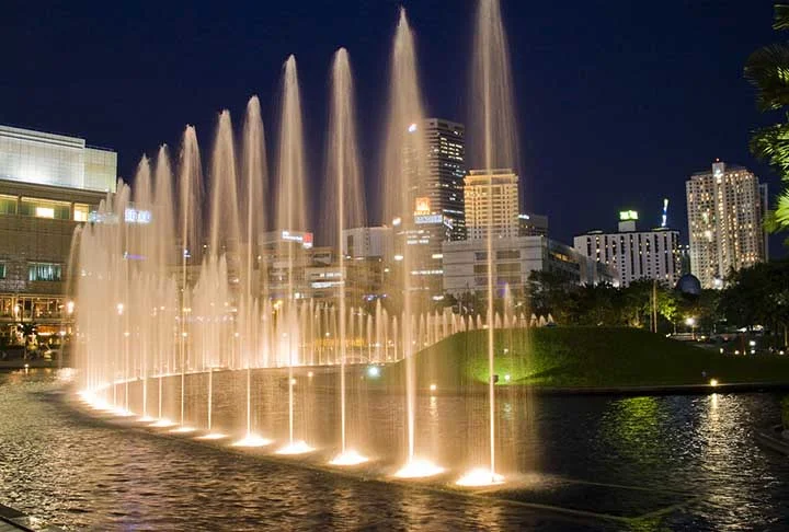 Burle Marx recebeu o título Doutor honoris causa da Universidade Federal do Rio de Janeiro, por indicação da Faculdade de Arquitetura e Urbanismo.