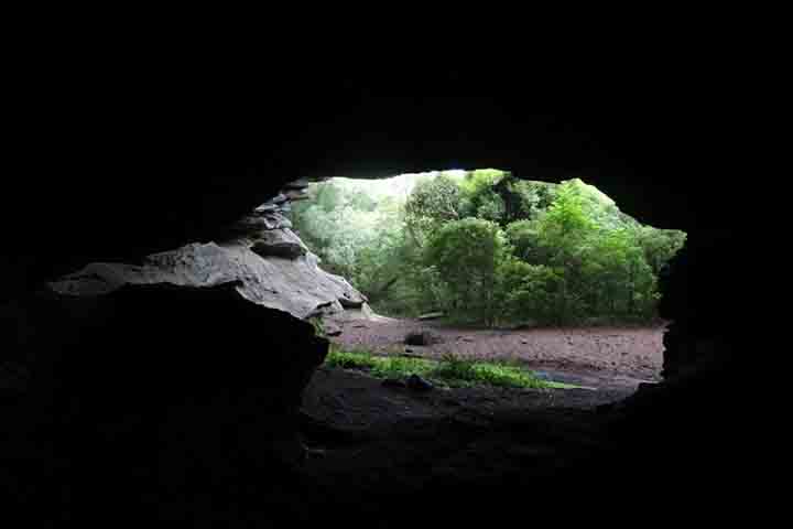 Espécies vegetais raras e endêmicas do bioma pampa, além de comunidades humanas tradicionais, como indígenas, quilombolas e pecuaristas familiares, completam esse cenário singular na América do Sul. 