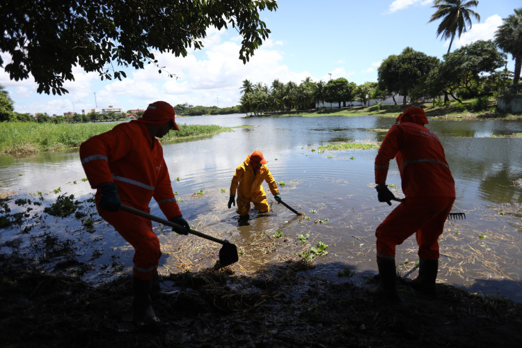 ￼LIMPEZA da lagoa do Porangabussu