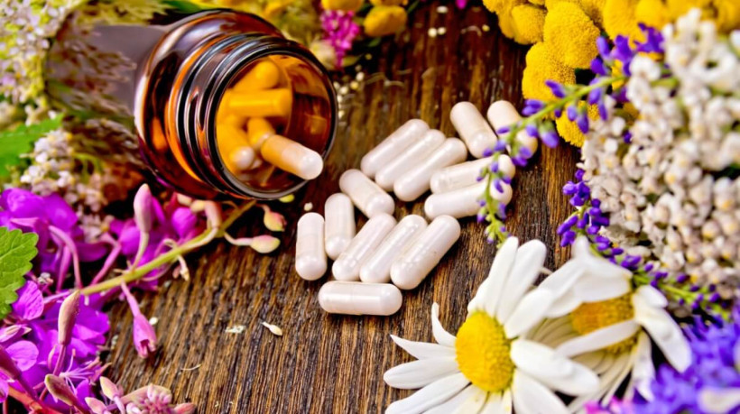 Os fitoterápicos não agem apenas em uma área do corpo e podem ter diferentes efeitos dependendo do organismo (Imagem: kostrez | Shutterstock) 