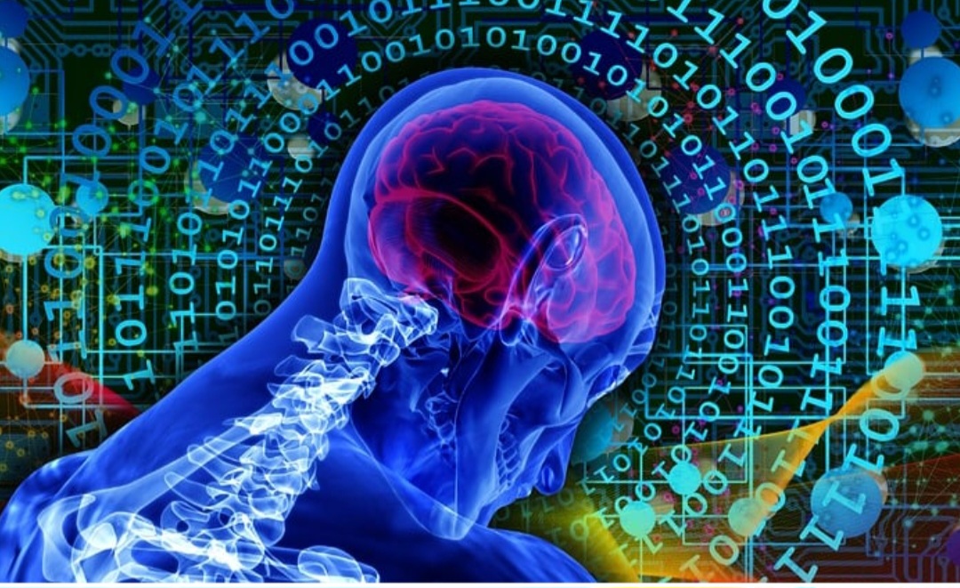 “Nossas descobertas destacam a necessidade de considerar a polidez no processamento de linguagem natural intercultural e no uso de LLMS”, pontua o estudo. 
