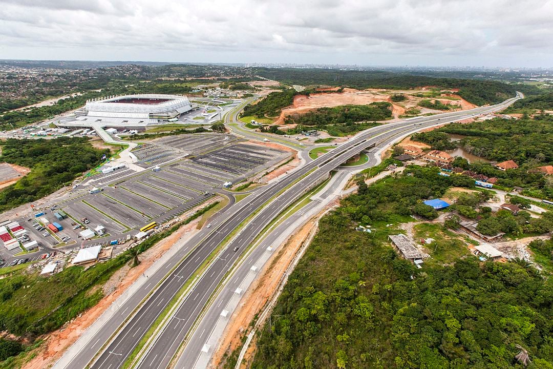 O município de São Lourenço da Mata, em Pernambuco, é considerado a capital nacional do pau-brasil.