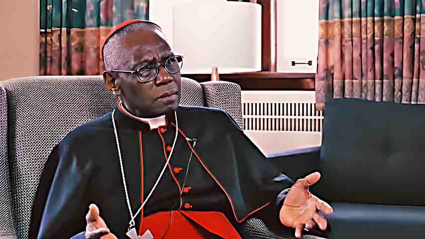 Robert Sarah (Guiné) - Prefeito-emérito da Congregação para o Culto Divino e Disciplina dos Sacramentos do Vaticano, tem 79 anos. Ele foi nomeado cardeal pelo Papa Bento XVI.
