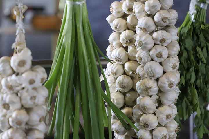 O alho tem referência direta a ideia de afastar o mal. Dessa forma, é conhecido por absorver as impurezas dos ambientes ao redor e, no misticismo, serve como um amuleto para proteção pessoal contra energias maléficas.
