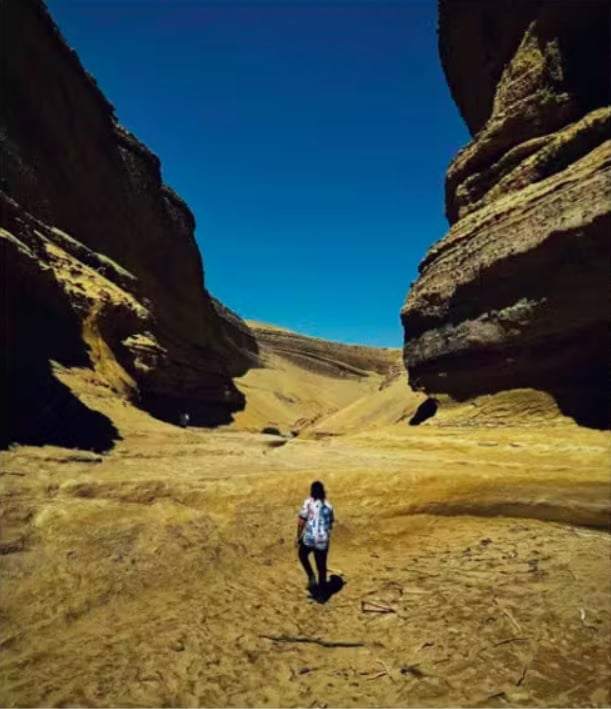 Você está caminhando no local que não tem nada, só areia reta, e você não tem ideia da distância que você precisa caminhar para chegar em algum lugar com civilização, contou Andressa na época. 
