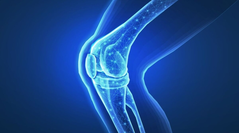 A artrite séptica é uma doença causada por bactérias que afetam a articulação (Imagem: CoreDESIGN | Shutterstock)