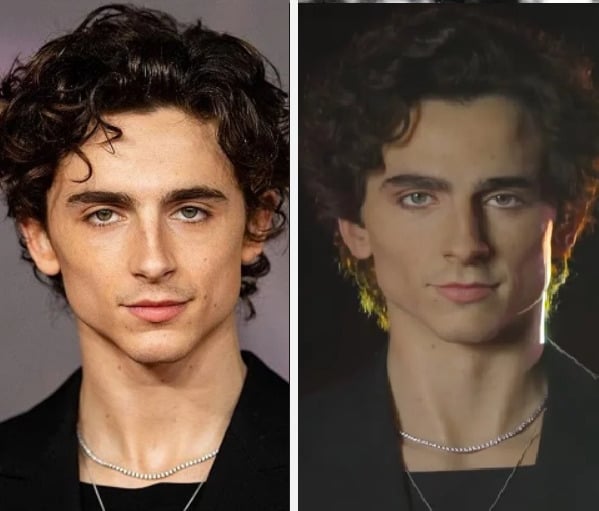 Em maio de 2024, o Museu Madame Tussauds, em Londres, inaugurou uma estátua de cera de Chalamet.
