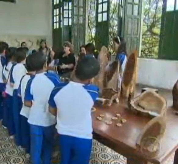 Também fica em Pernambuco um museu dedicado à preservação da memória do pau-brasil, no município de Glória do Goitá. Estudantes podem aprender sobre a árvore e a madeira nobre que ela representa. 