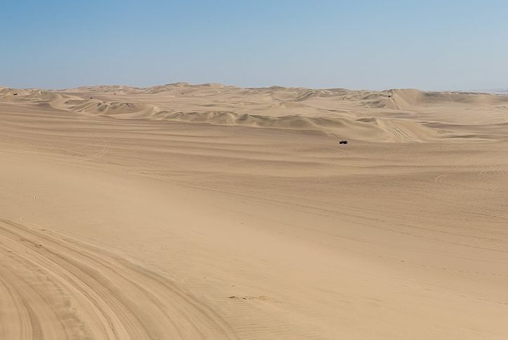 O casal relatou que o grupo decidiu se dividir para ver quem achava ajuda primeiro. Alguns foram em busca de sinal de celular, enquanto outros foram na direção oposta, tentando achar uma estrada.