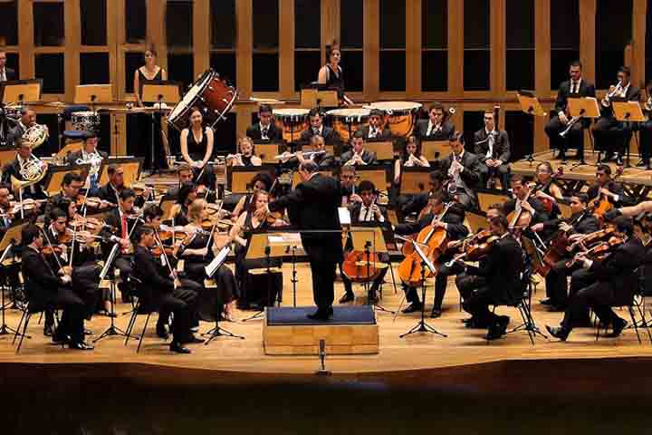 Uma orquestra é geralmente dividida em quatro famílias de instrumentos: cordas, madeiras, metais e percussão. Veja cada um deles.