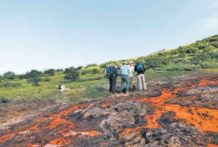 E mais: a comunidade científica norte-americana não sabe ao certo o motivo da mudança de cor dos rios do Alasca.