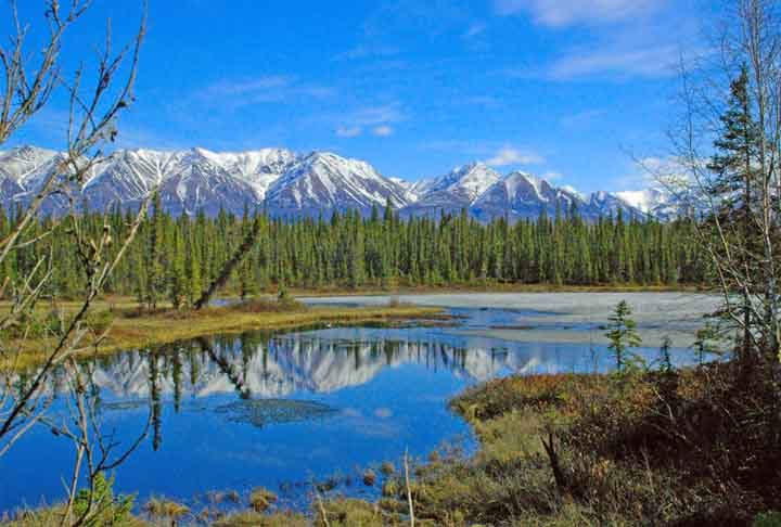 O Serviço de Parques Nacionais do Alasca, inclusive, classificou a mudança de cor do Rio Salmon como particularmente preocupante.
