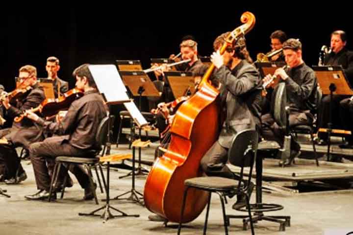 Contrabaixo: O maior e mais grave das cordas, com som encorpado e profundo. Originado na Europa no século XV, evoluiu do violone renascentista. Fornece a base harmônica e rítmica, sustentando toda a orquestra.