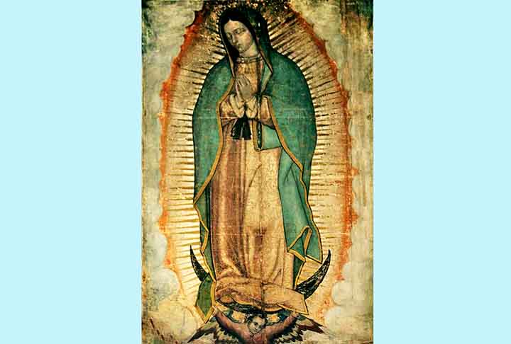 De acordo com os relatos, a Virgem de Guadalupe pediu a Juan Diego que fosse erguida uma igreja. Diante da desconfiança do bispo local, uma imagem da santa teria aparecido em um manto que envolvia rosas como sinal comprobatório da visão.
