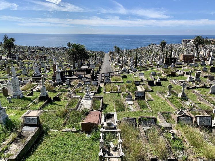 Muitas pessoas costumam visitar o cemitério não apenas para prestar homenagem aos entes queridos falecidos, mas também para apreciar a beleza natural da região.