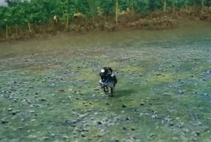 Feito para ser montado como um cavalo, ele funciona com um motor de 150 cilindradas movido a hidrogênio.