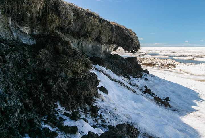 Os cientistas acreditam que o aumento das temperaturas no Alasca tenha causado o degelo do solo que normalmente é congelado, chamado de permafrost. 