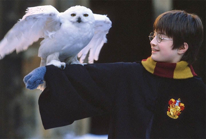 Harry Potter é o protagonista da série de livros de fantasia de mesmo nome. O jovem bruxo descobre sua verdadeira natureza mágica no seu 11º aniversário, quando recebe uma carta de aceitação para estudar na Escola de Magia e Bruxaria de Hogwarts.