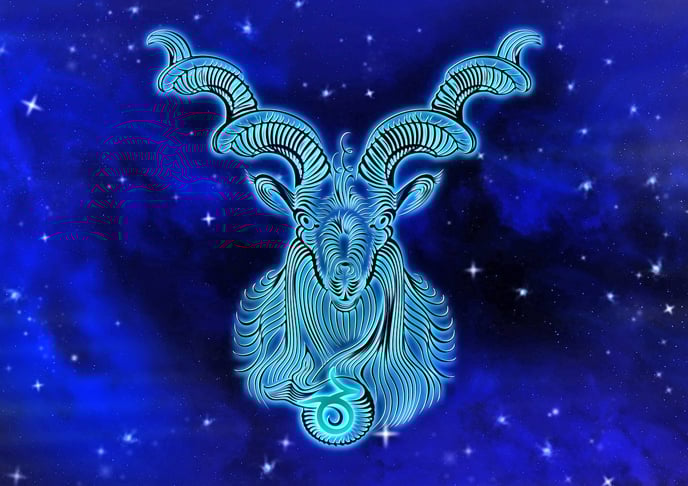 Capricórnio (22 de dezembro a 20 de janeiro) 