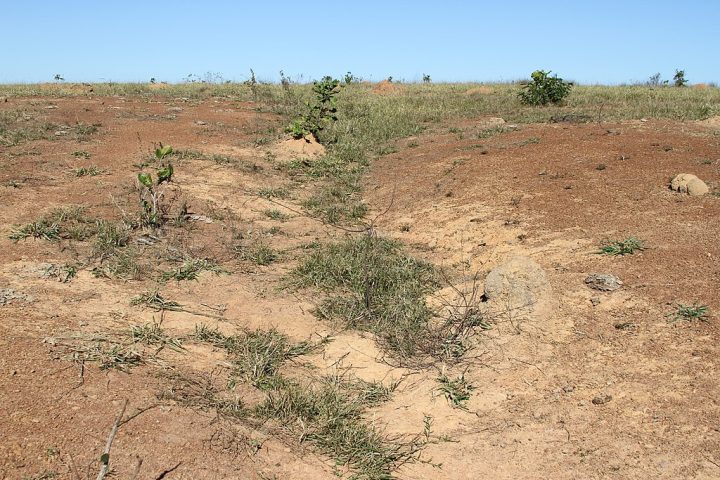 Pesquisas no local identificaram sinais claros de metamorfismo de choque — um fenômeno que transforma minerais sob extrema pressão e temperatura, exclusivo de impactos meteoríticos.