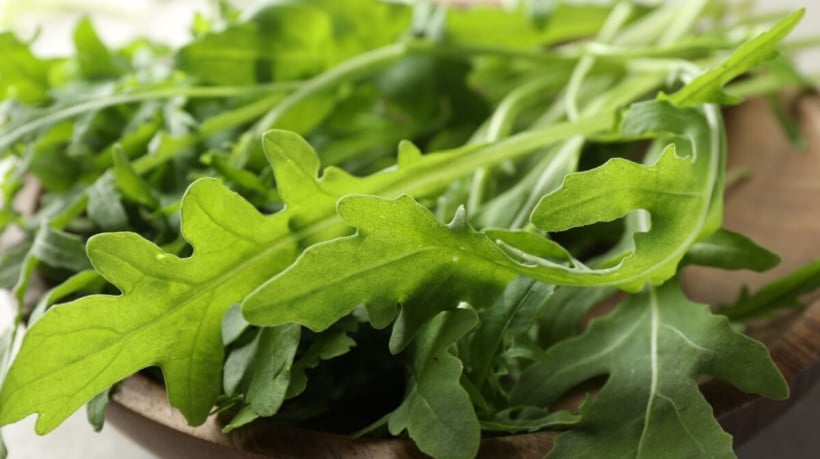 A rúcula é fonte de nutrientes essenciais para a saúde do corpo (Imagem: New África | Shutterstock) 