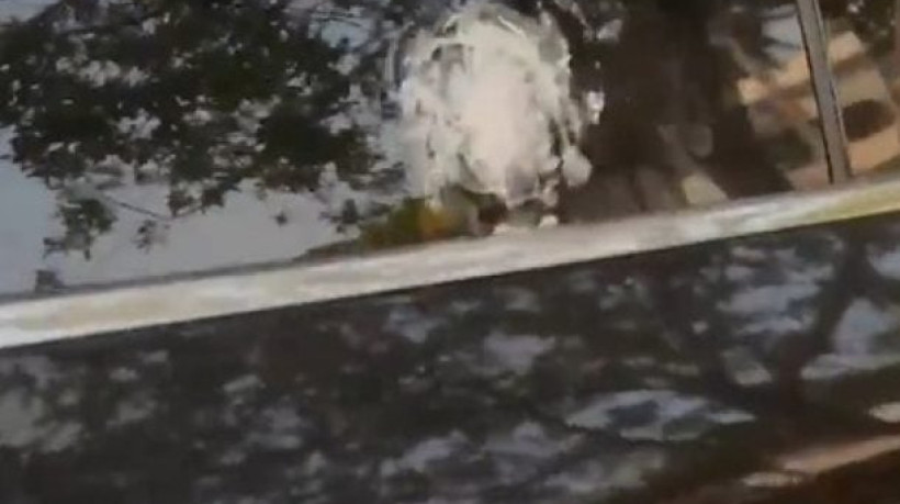 Carro do goleiro Rossi foi alvejado em tentativa de assalto a jogadores do Flamengo no Rio