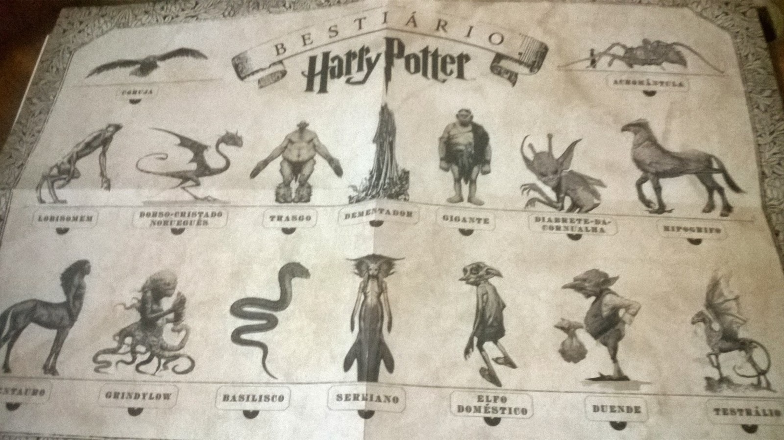 Desde corujas que entregam cartas até dragões imponentes, esses seres ajudam a construir a magia do universo bruxo e, em muitos casos, são essenciais para o desenrolar da trama.