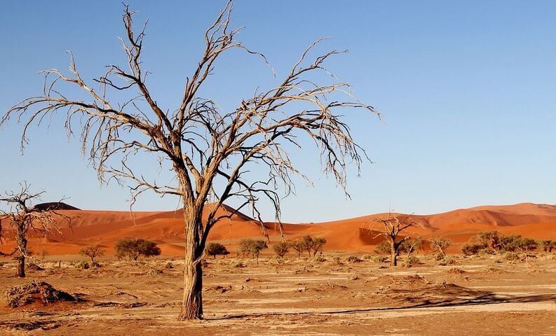  6º Deserto do Kalahari  (930.000 km²) -Abrange partes de Angola, Botsuana, Namíbia e África do Sul. Fica numa depressão para onde flui a bacia do Calaári. Tem dunas avermelhadas e vegetação xerófila (adaptada à aridez).