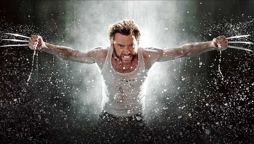 Evangeline também recusou atuar na franquia dos X-Men, após sondagem feita por Hugh Jackman, o icônico Wolverine. 