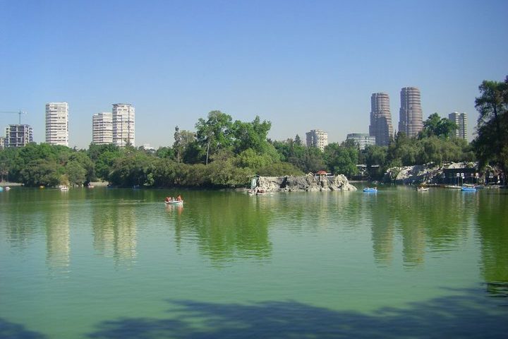 A principal causa é a degradação dos lagos e canais da Cidade do México, altamente poluídos e sujeitos à urbanização desenfreada.