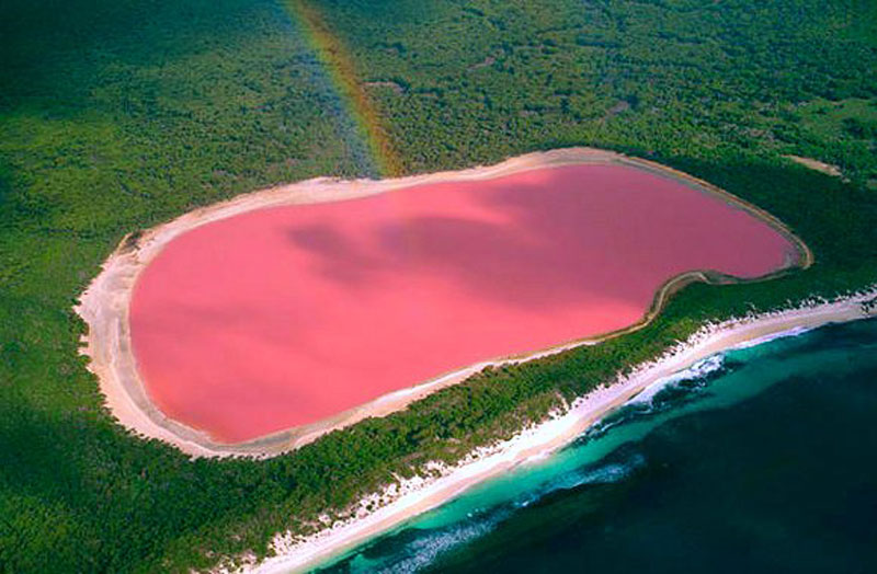 Lago Hillier - Fica na Austrália.  A água rosa é intrigante e objeto de estudo desde 1802 quando o lago foi descoberto. É possível que a alta concentração de sal seja a origem da cor.  Ou um tipo de alga (Dunaliella) associada a uma bactéria (Halobacterium). A água não é tóxica. 