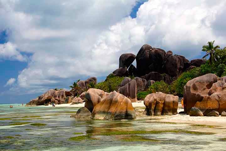 As Maldivas são uma república presidencialista na qual o presidente é o chefe de estado e governo. O presidente é eleito por cinco anos, por voto secreto do parlamento e depois referendado pela população. O primeiro presidente eleito democraticamente nas Maldivas foi Mohamed Nasheed. O atual é Mohamed Muizzu.