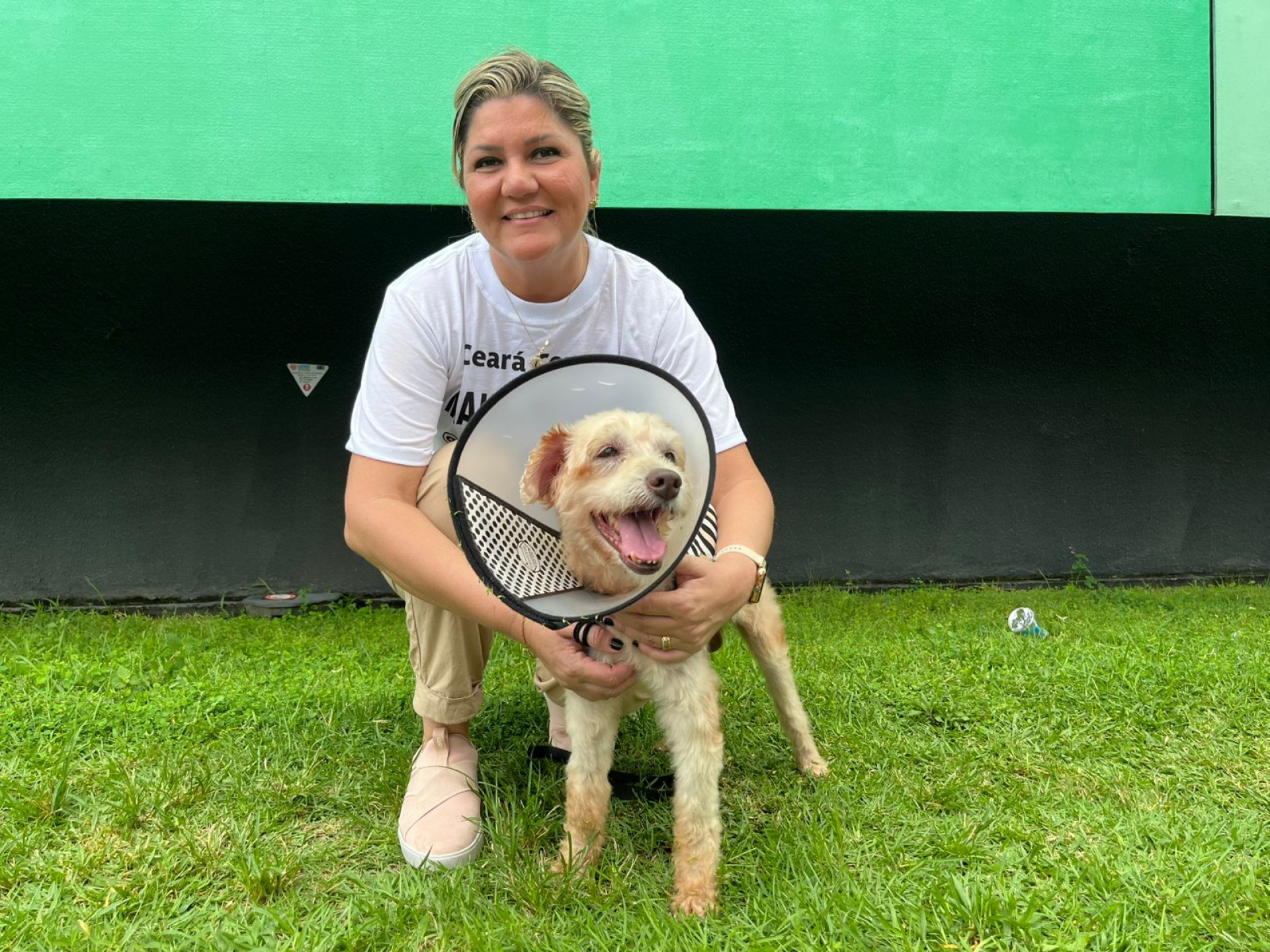 Cachorro Scooby foi adotado por Stefani após ser vítima de maus-tratos. Ele receberá atendimento e será microchipado pelo programa Pet Ceará Móvel. 