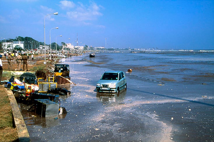 A mitologia japonesa associa as aparições de peixe-remo em águas rasas a terremotos e tsunamis.