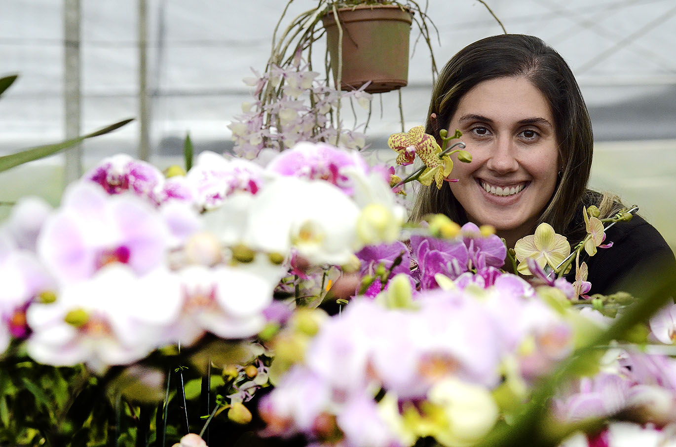 VÁRZEA PAULISTA é a  Cidade das Orquídeas, por conta do seu orquidário que chama a atenção e é o maior do continente.