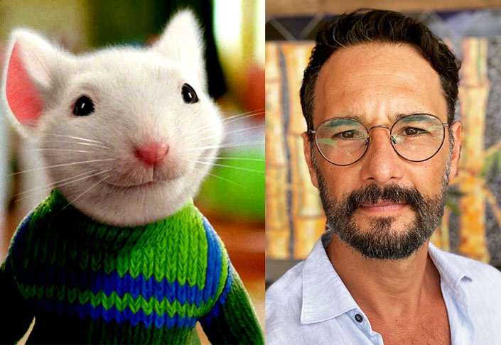 Como dublador, Santoro também participou de vários filmes, como O Pequeno Stuart Little 1 e 2, nos anos de 1999 e 2002.  Ele também emprestou a sua voz nos filmes Rio 2 (foto, no papel de Túlio), em 2014, e Klaus, em 2019. 

