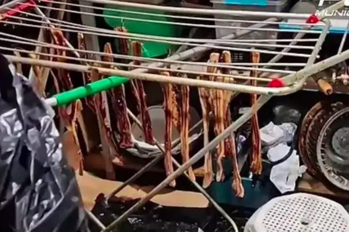 Durante a inspeção, os agentes encontraram cerca de 300 kg de comida estragada, carnes penduradas em varais, baratas, armadilhas de rato e pombos mortos.