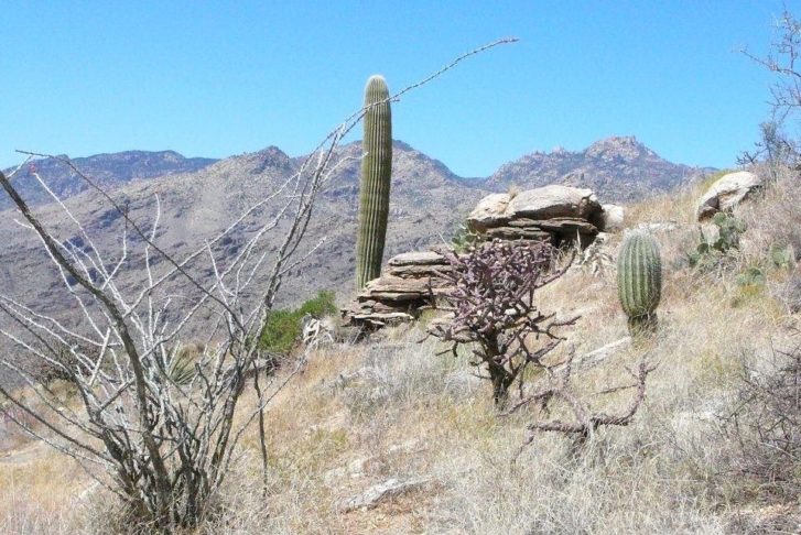 A intenção do professor não é apenas documentar as mudanças físicas na paisagem, mas também usar seu projeto como uma ferramenta para pensar sobre os impactos ambientais.