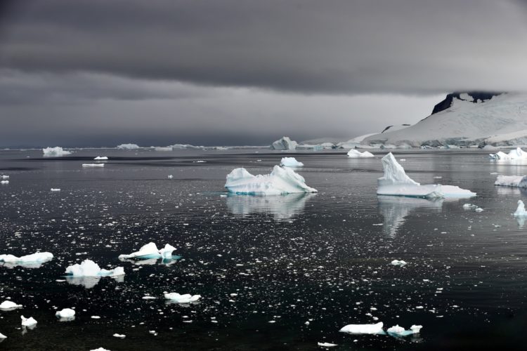 Apesar de serem descobertas empolgantes, os pesquisadores dizem que ainda há muita coisa para desvendar sobre os animais do mar na Antártica.