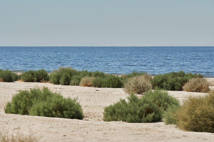 Esse incidente criou um dos lagos mais singulares do estado, mas também trouxe problemas ambientais que persistem até hoje.