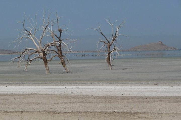 Um dos principais problemas do lago é que ele está secando rápido porque não tem para onde a água escoar.