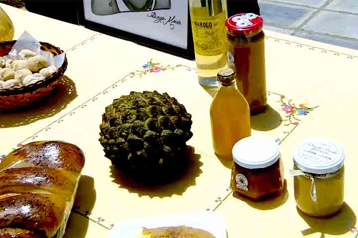 Para este bioma, o Araticum, como espécie frutífera, desempenha importante papel na conservação dos ambientes nativos, e também pode ser explorado comercialmente, apresentando potencial agronômico.