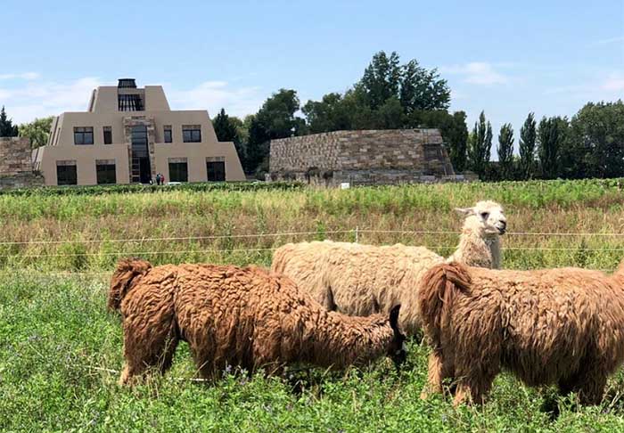 1ª – A liderança fica com a vinícola ‘Catena Zapata', na cidade de Mendoza, na Argentina. Seu principal produto é o vinho Malbec, referência no país. O espaço oferece passeios que apresentam a história da vinícola familiar.