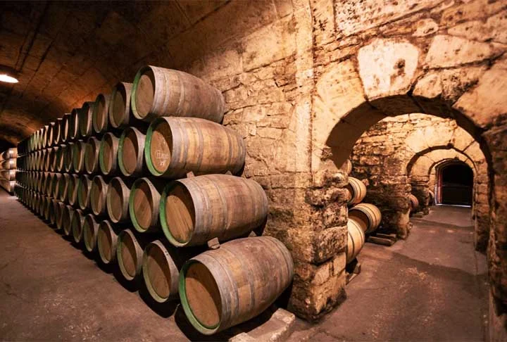 As vinhas podem ser exploradas a pé, de bicicleta ou a cavalo, com oferta de esportes como o golfe e padel. A vinícola foi fundada em 1858 por Fran Gehry e os vinhos tornaram-se tão populares no início do século XX que exigiam uma forma de selo para garantir a autenticidade. A malha dourada foi a opção adotada 