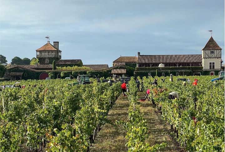 O ponto forte do Château é a produção de blends tintos e brancos usando as sete variedades de uva Bordeaux. O espaço foi criado no século XIV, mas a partir da década foi que deslanchou após ser comprado pelo ex-esquiador olímpico francês Daniel Cathiard, que adotou a agricultura biodinâmica