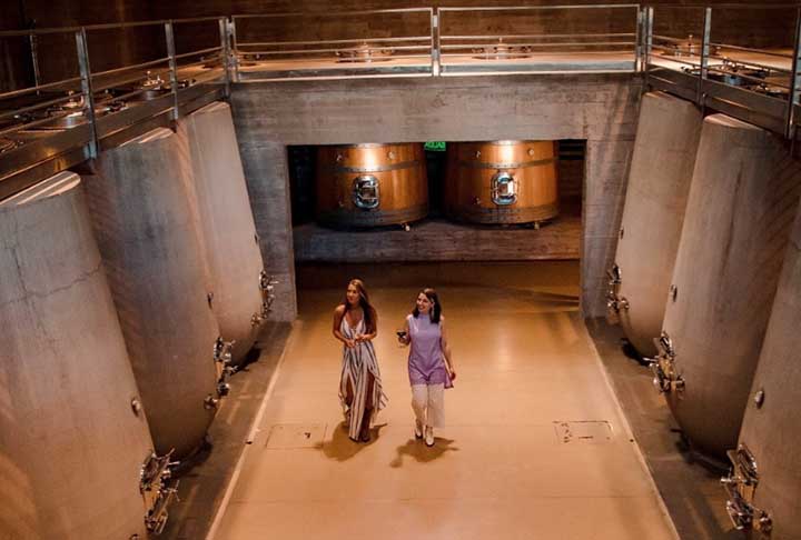 Os vinhos são elaborados sob a consultoria de Alberto Antonini, uma das maiores referências mundiais em produção de vinhos da primeira qualidade como Blend, Tannat, Albariño, entre outros. Trata-se de um projeto ousado, capaz de impulsionar o Uruguai no mapa mundial do vinho 