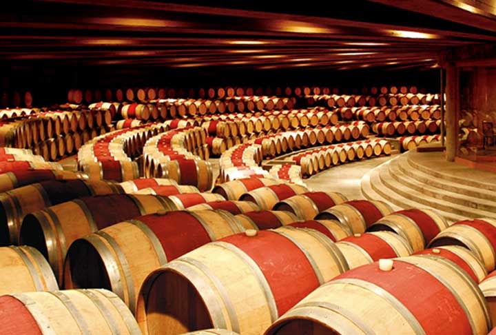 Alguns exemplos são o Alpha Cabernet Sauvignon (o primeiro vinho de alto padrão exportado pelo Chile), Alpha Chardonnay, Merlot e Syrah. A vinícola é uma parceria bem sucedida entre Aurélio Montes e Douglas Murray, profissionais que se dedicam a estudar a ciência do vinho 