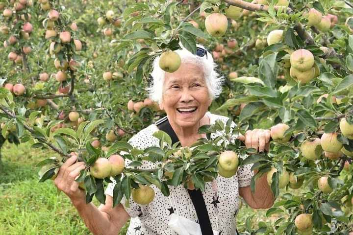 Bojovic produziu um conteúdo sobre Luisa Yu e fez sua história de viajante ficar conhecida. 
