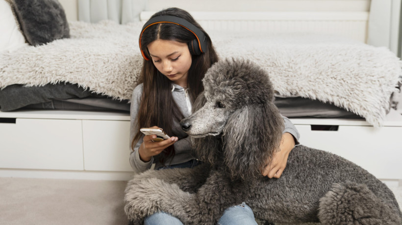 Baidu aposta em IA para interpretar vocalizações de pets e traduzi-las em linguagem humana, abrindo caminho para nova era na interação com animais
