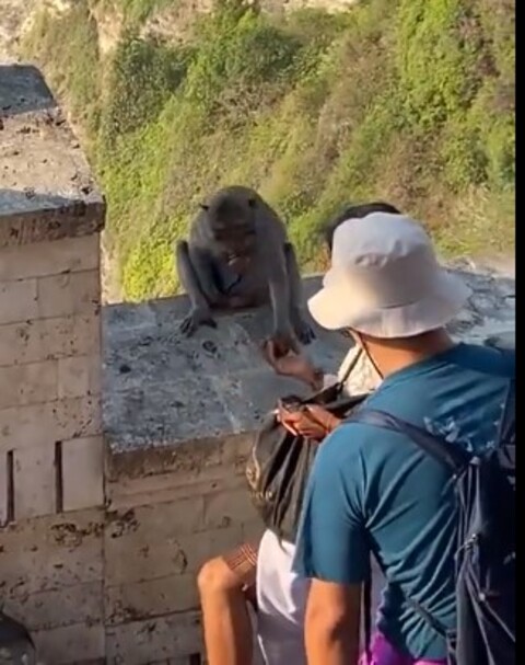 A negociação entre a mulher e o primata foi filmada no Templo de Uluwat, na Ilha de Bali, na Indonésia.